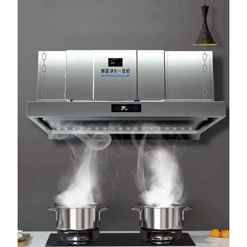 Commercial Kitchen Hoods - 맞춤형 내장형 정전기 공기 청정기 ESP